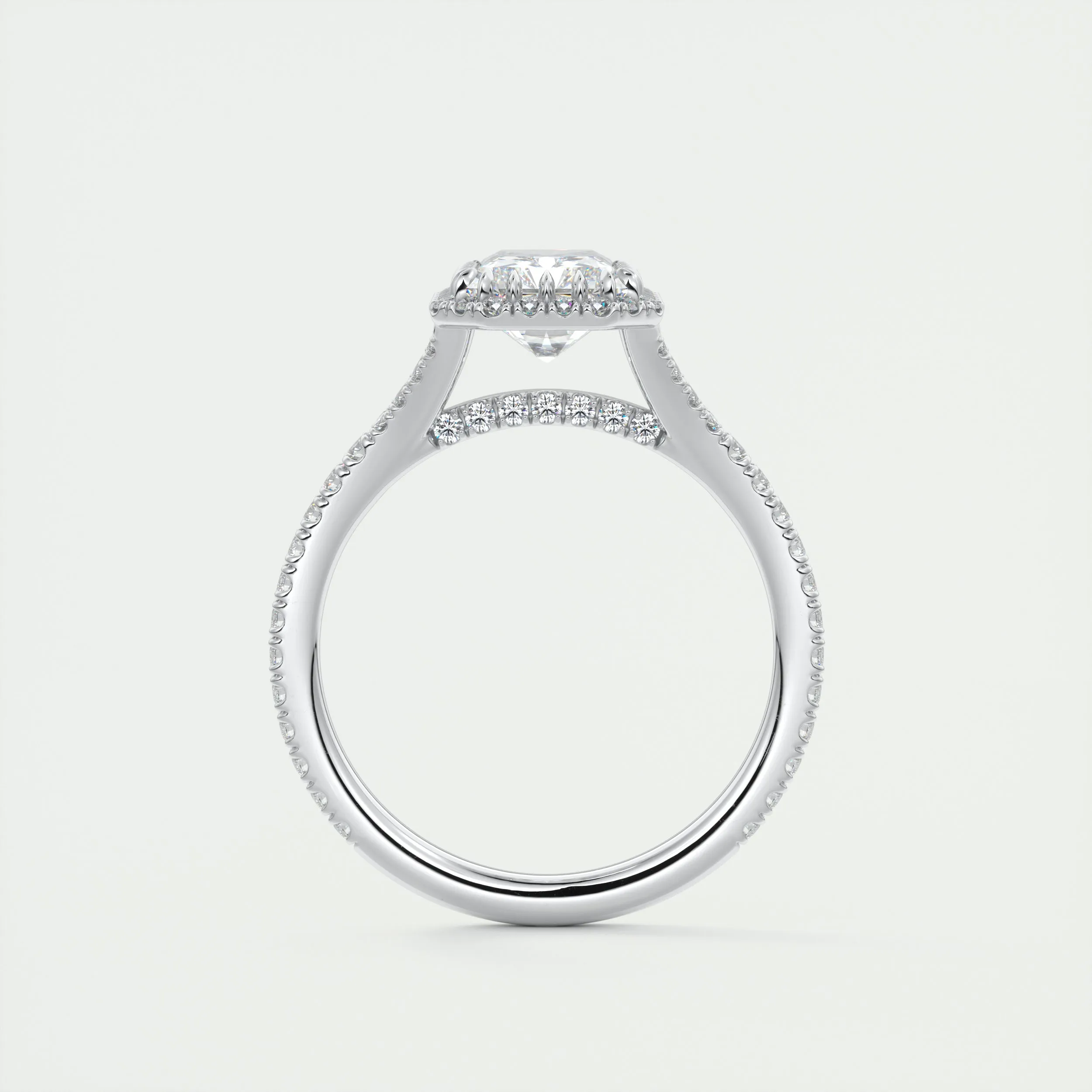 The French Halo | Radiant