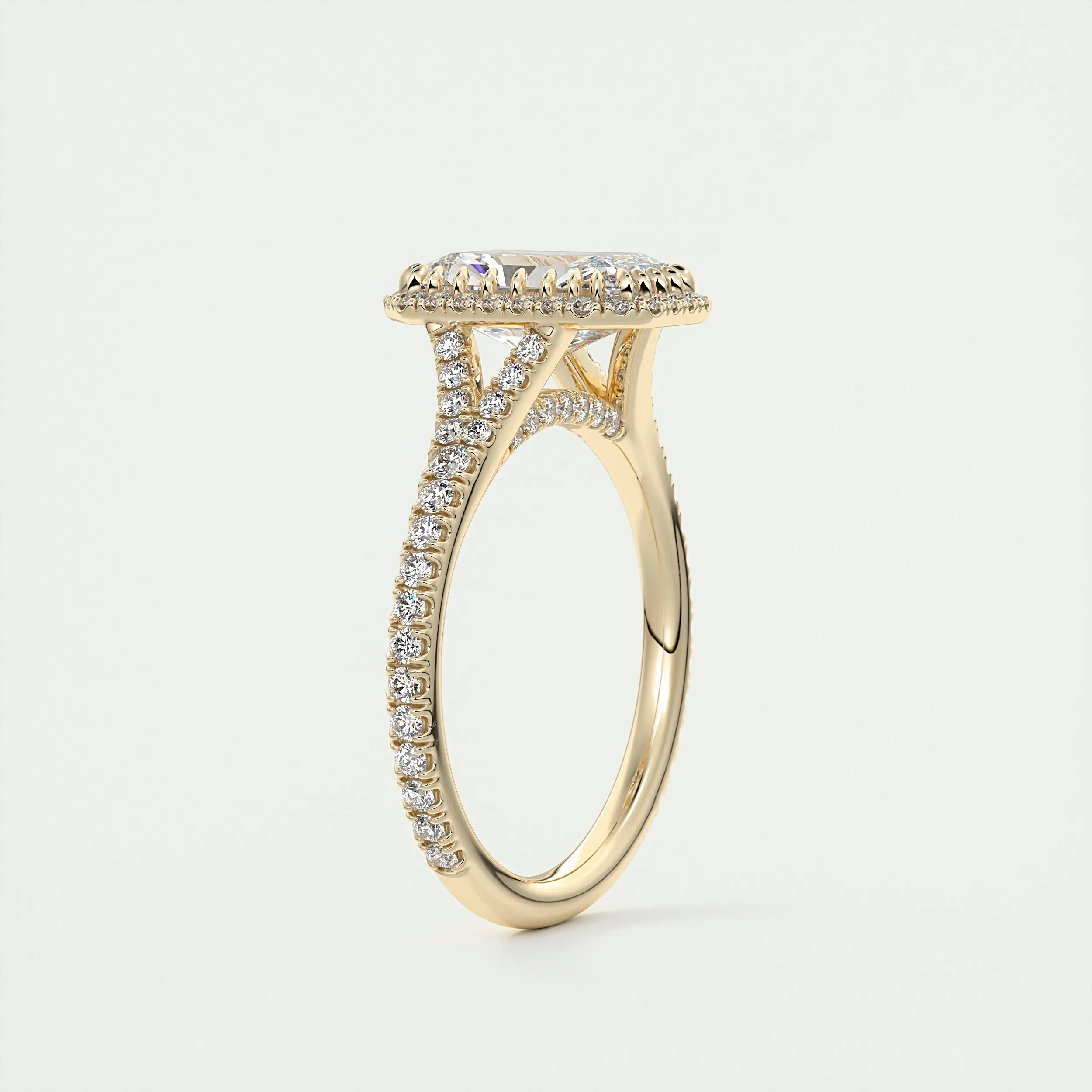 The French Halo | Radiant