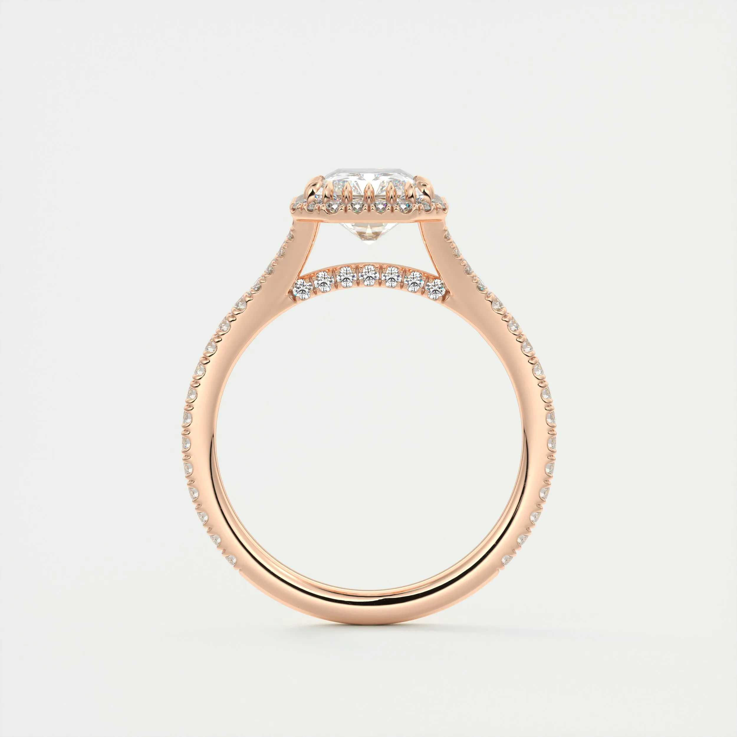 The French Halo | Radiant