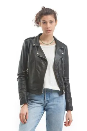 The Trendy Motor Jacket