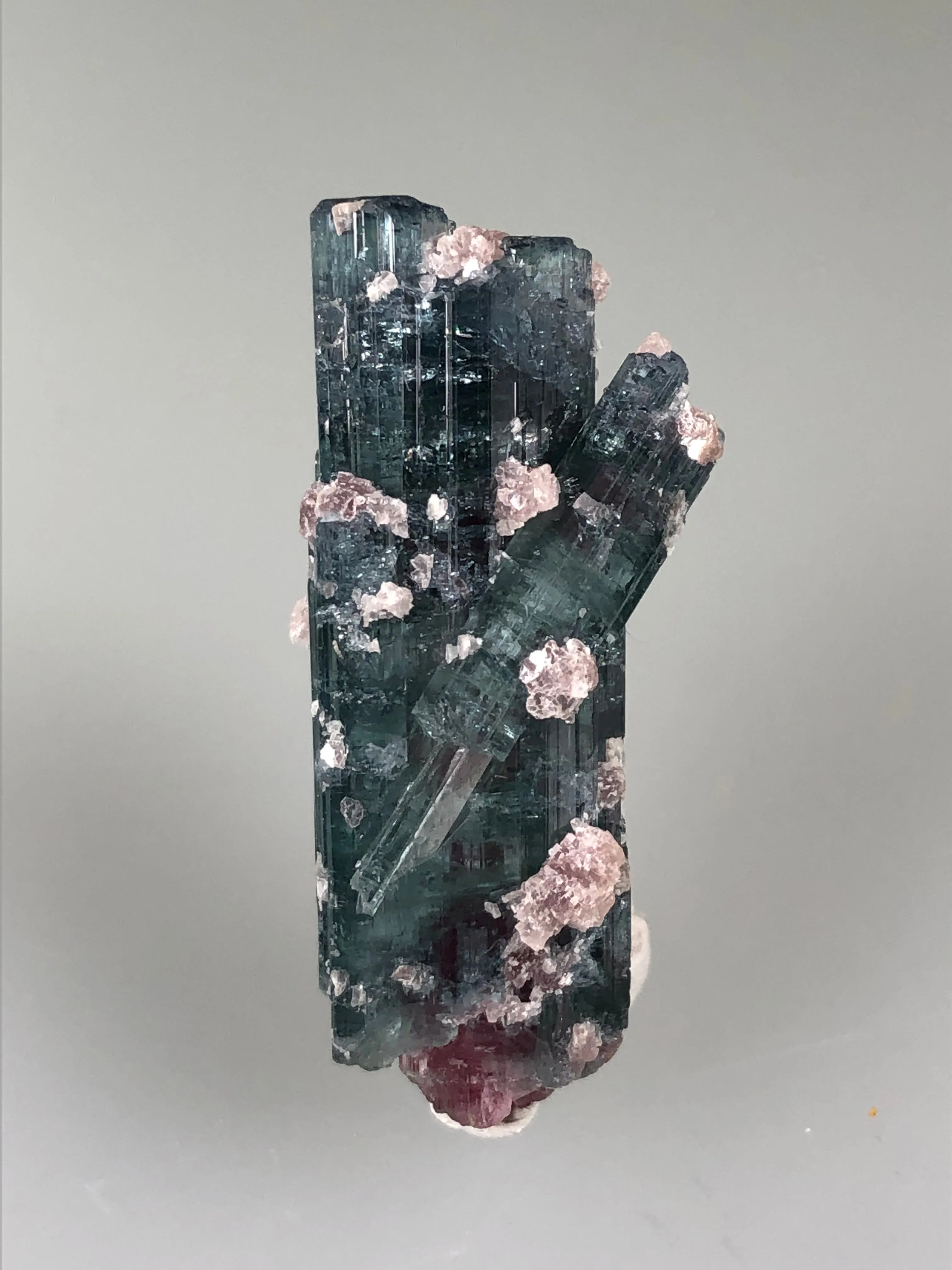 Tourmaline (Watermelon), Minas Gerais, Brazil, ex. Louis Lafayette Collection #735, Miniature 1.3 x 1.5 x 3.9 cm, $125. Online Nov. 17