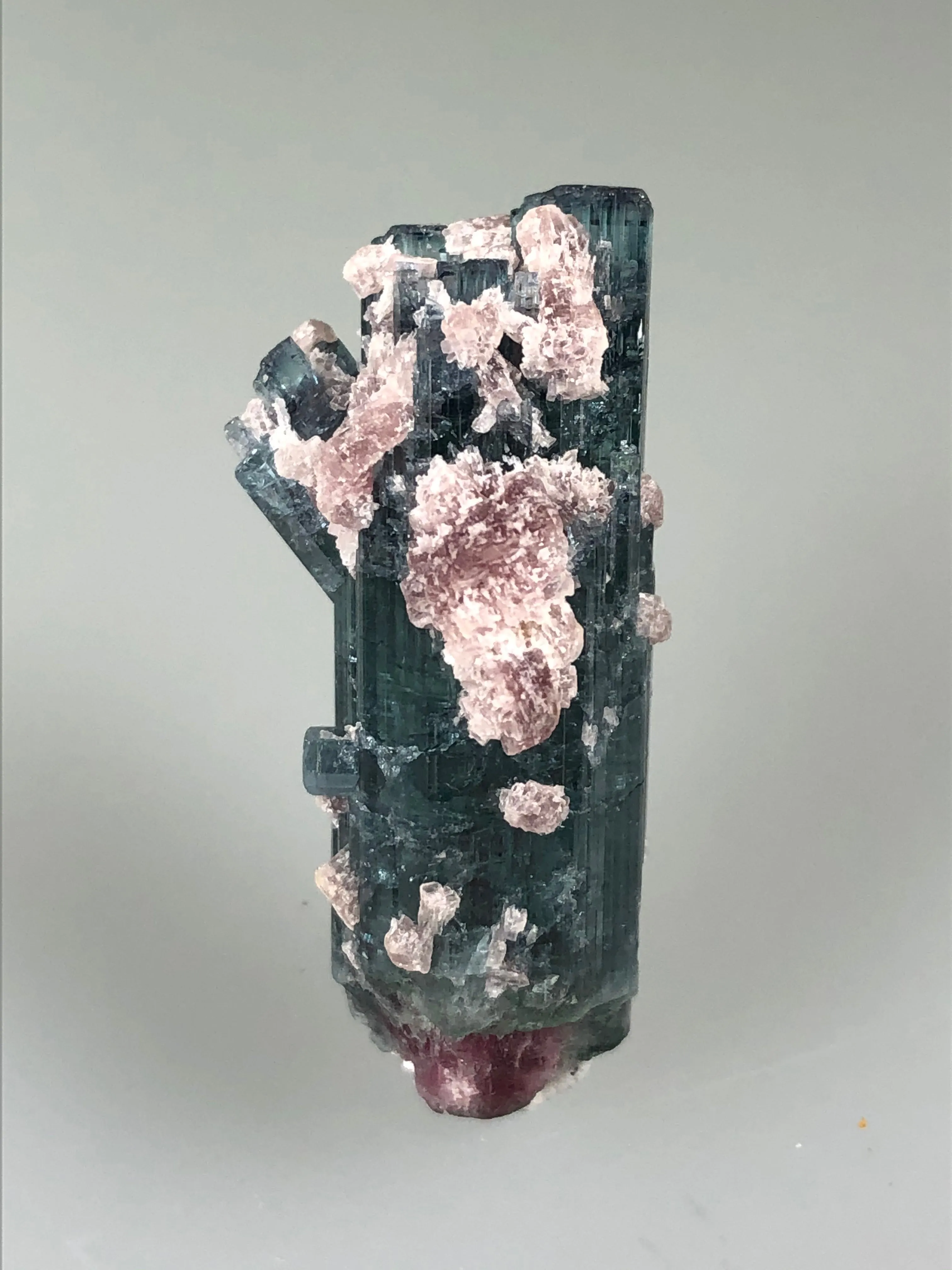 Tourmaline (Watermelon), Minas Gerais, Brazil, ex. Louis Lafayette Collection #735, Miniature 1.3 x 1.5 x 3.9 cm, $125. Online Nov. 17