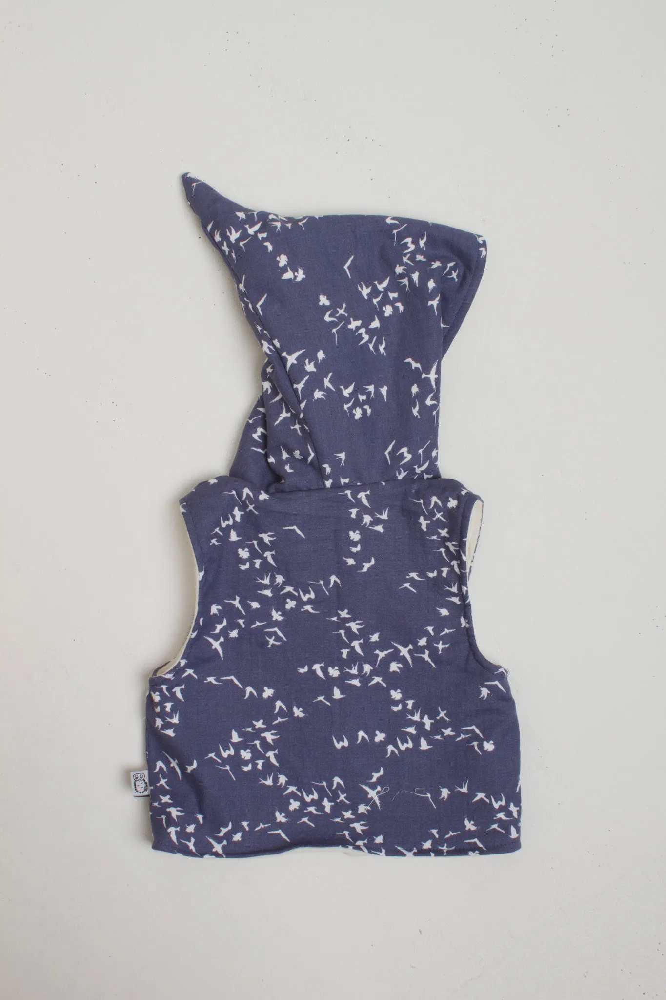 Vest of the Village