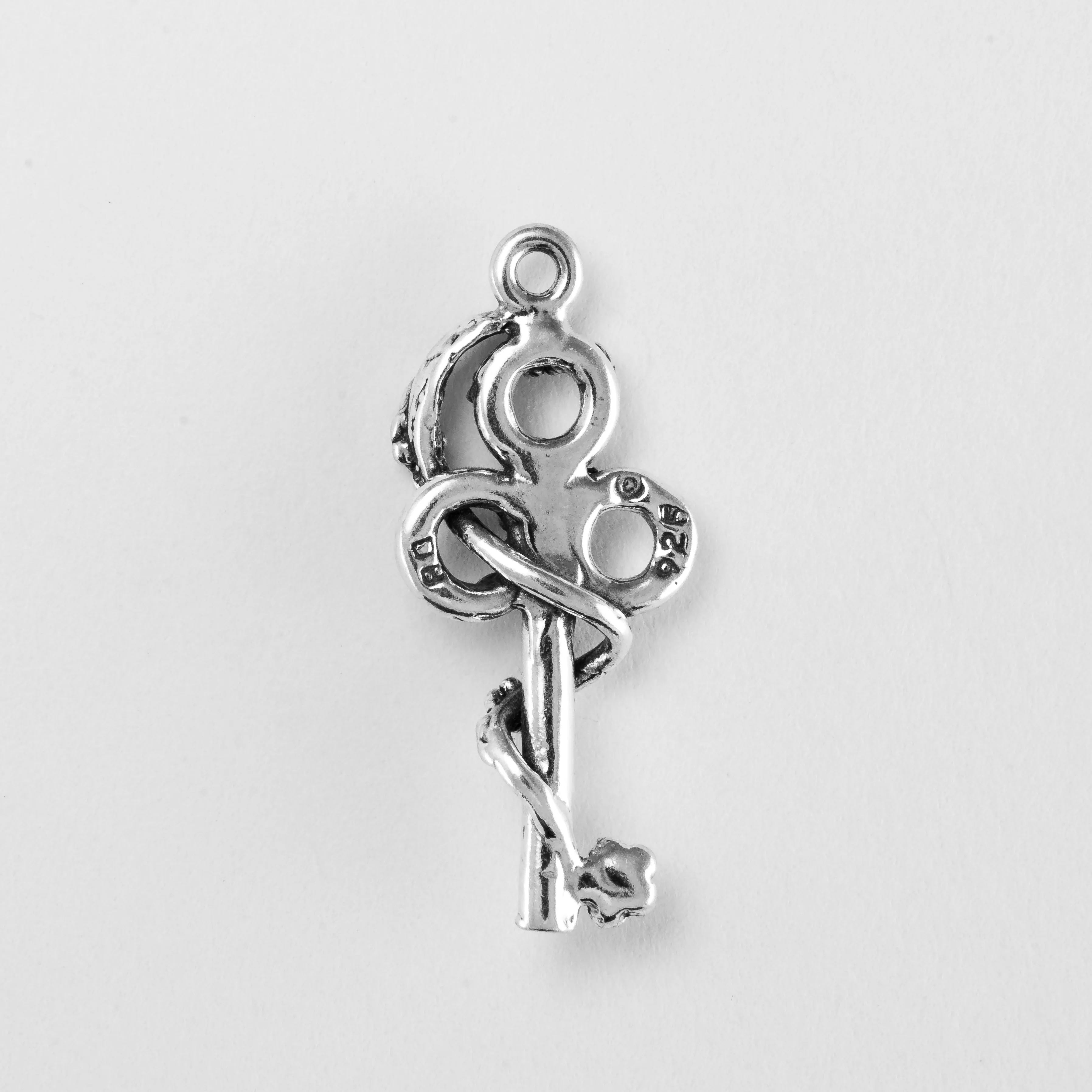 Vine Wrapped Key