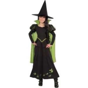 Wicked Witch Of The West Size S.