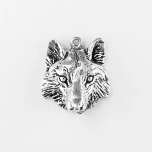 Wolf, Head