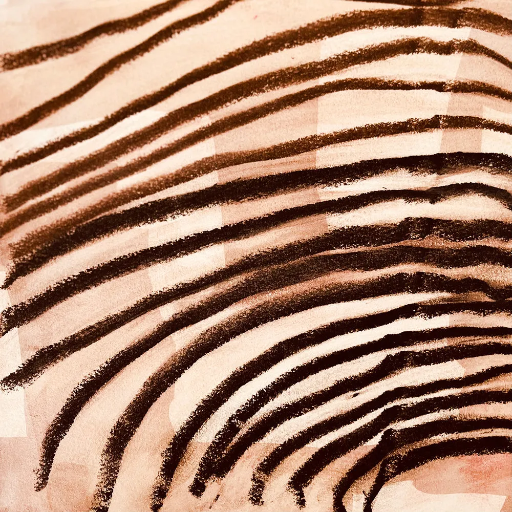 Zebra Dream